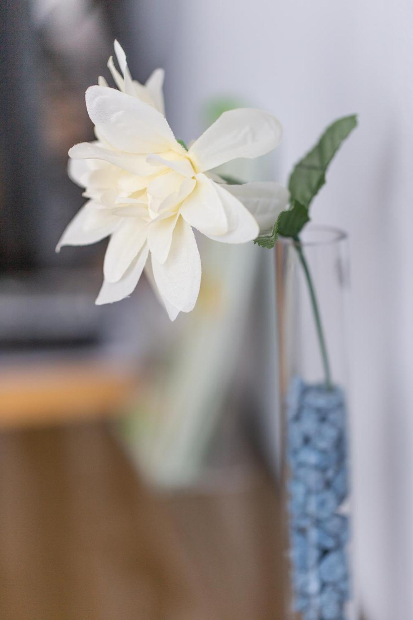 Allentsteig Wohlfuehlwelt Riegler B&B 외부 사진